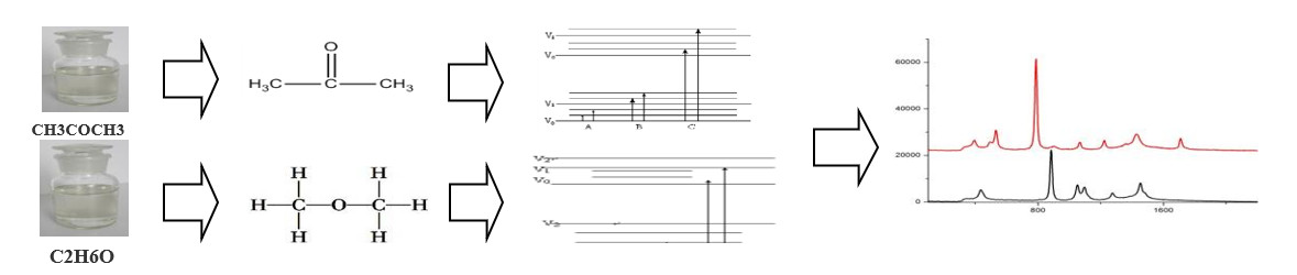 warta-3 (2)